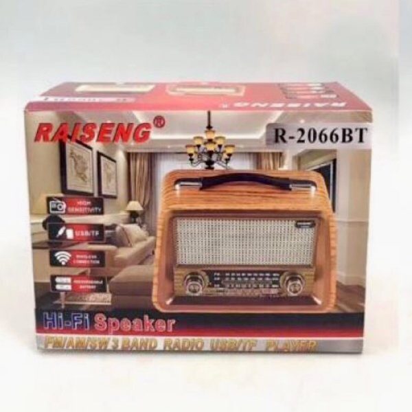 رادیو بلوتوثی رایسنگ مدل R-2066BT